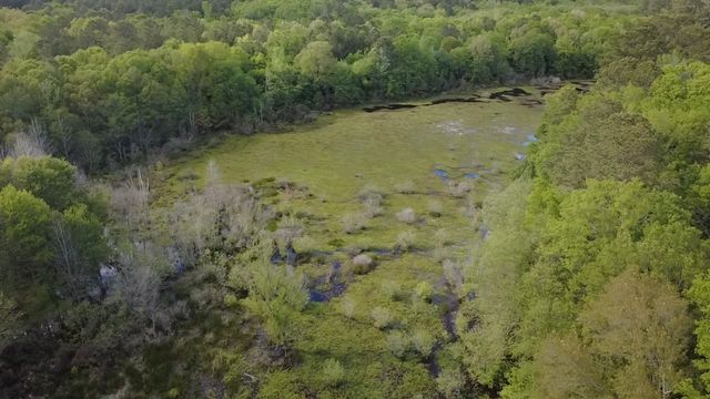 840 Liberty Church Rd, Harleton, TX 75651