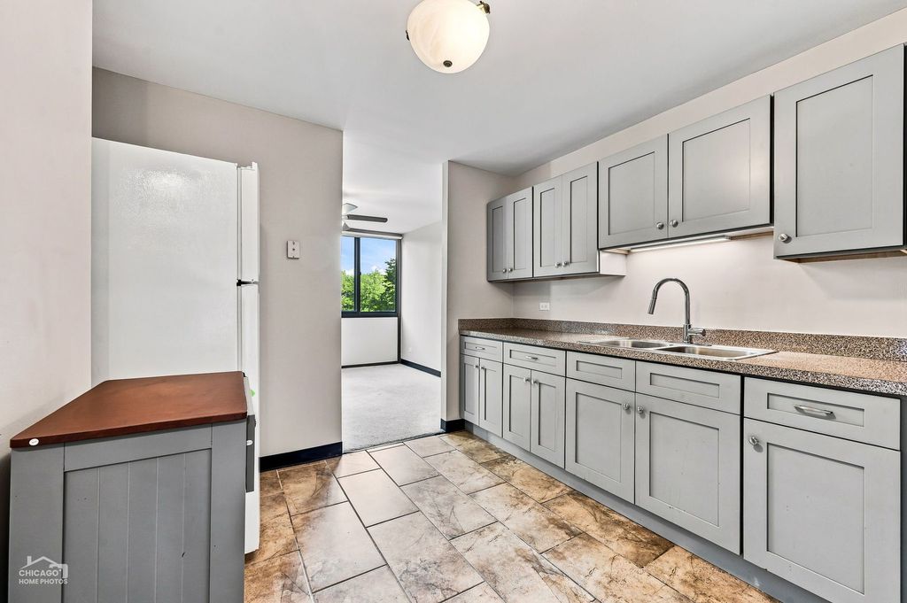 4850 S Lake Park Avenue 308B, Chicago, IL 60615 — photo 4