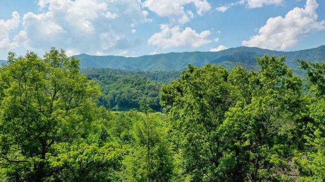 52 Bear Track Road, Andrews, NC 28901