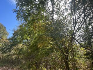 1 Clyde Webb, Tennessee Ridge, TN 37178