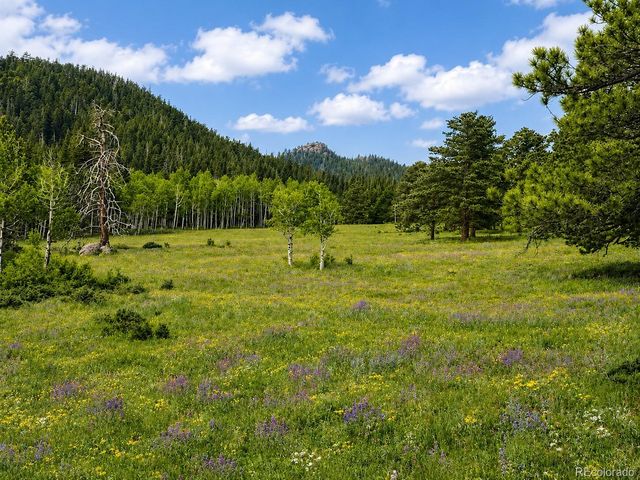 1001 County Road 86, Red Feather Lakes, CO 80545