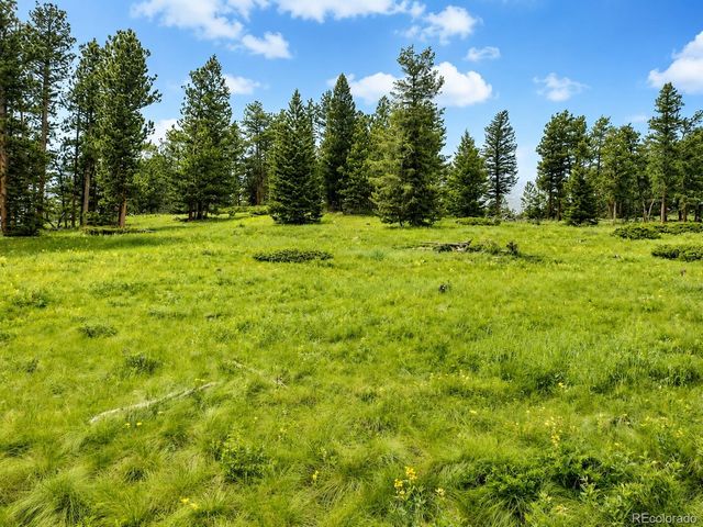 1001 County Road 86, Red Feather Lakes, CO 80545