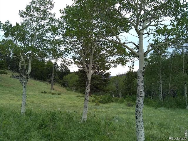 1001 County Road 86, Red Feather Lakes, CO 80545
