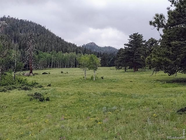 1001 County Road 86, Red Feather Lakes, CO 80545