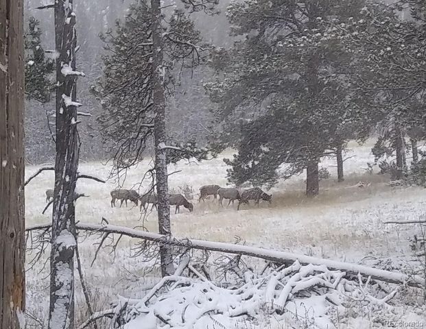 1001 County Road 86, Red Feather Lakes, CO 80545