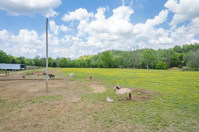 13546 Campbellsville Rd, Lynnville, TN 38472