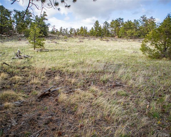 13101 N County Road 73c, Red Feather Lakes, CO 80545