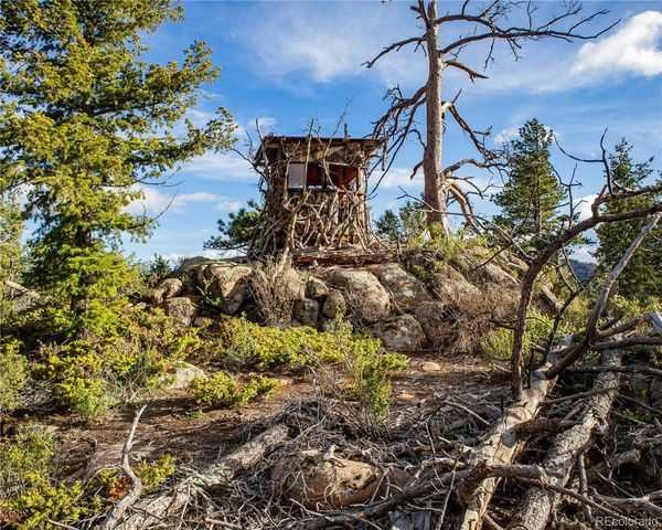 13101 N County Road 73c, Red Feather Lakes, CO 80545