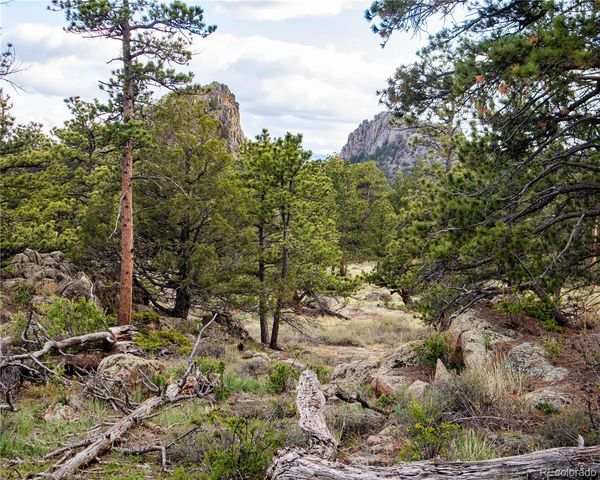 13101 N County Road 73c, Red Feather Lakes, CO 80545