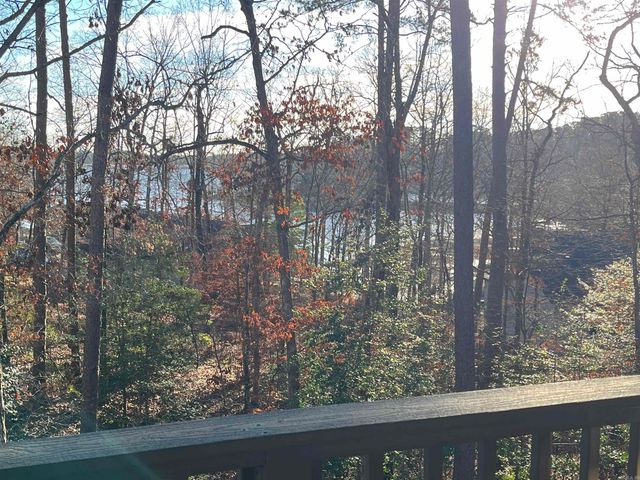 1 Narvaez Lane, Hot Springs Village, AR 71909