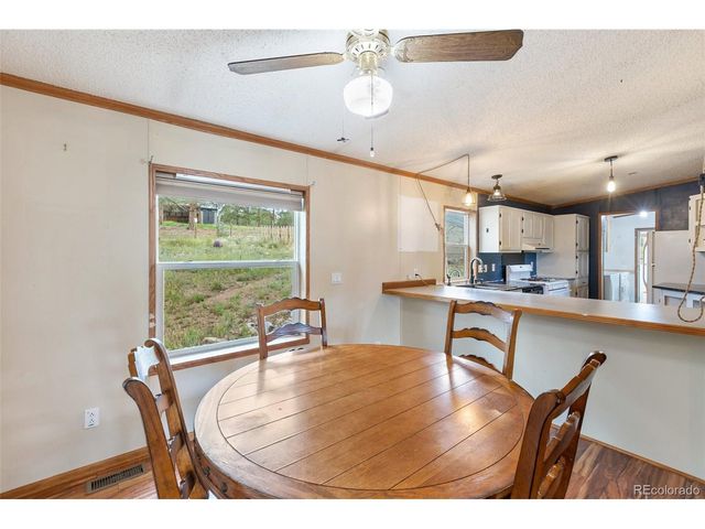 1703 Arapahoe Dr, Florissant, CO 80816