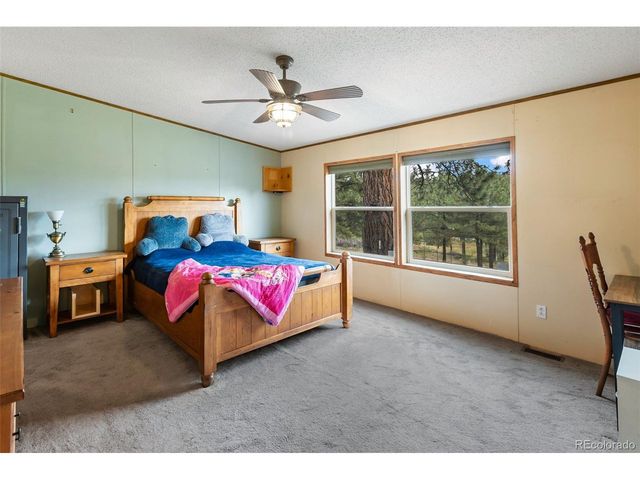 1703 Arapahoe Dr, Florissant, CO 80816