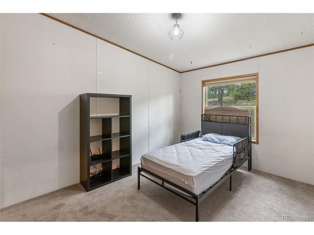 1703 Arapahoe Dr, Florissant, CO 80816