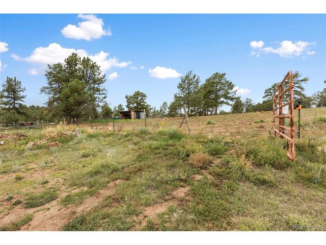 1703 Arapahoe Dr, Florissant, CO 80816