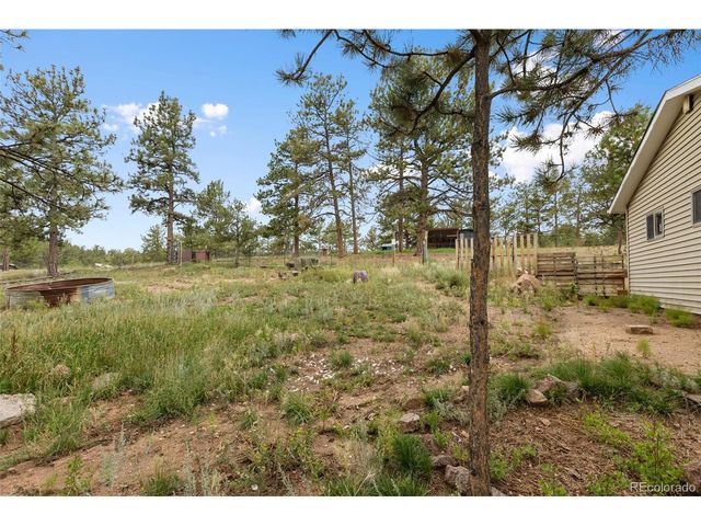 1703 Arapahoe Dr, Florissant, CO 80816