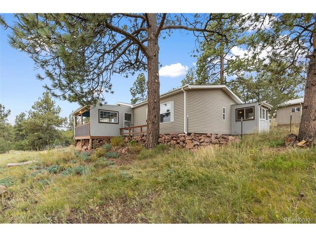 1703 Arapahoe Dr, Florissant, CO 80816