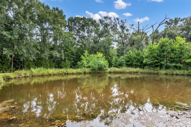 5930 Honea Egypt Road, Montgomery, TX 77316