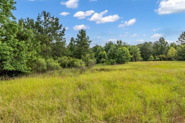 5930 Honea Egypt Road, Montgomery, TX 77316