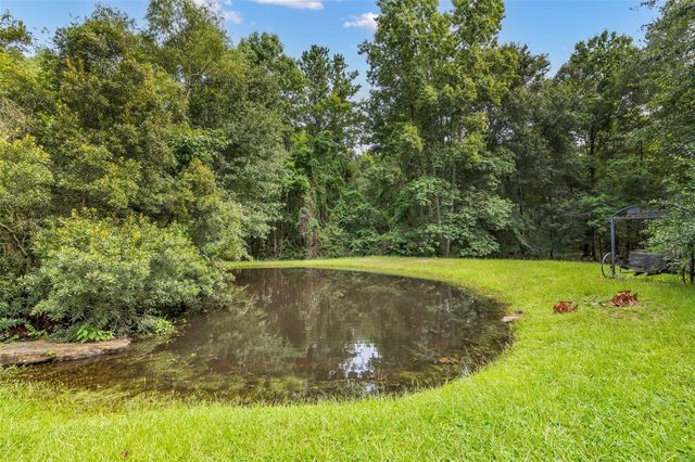 5930 Honea Egypt Road, Montgomery, TX 77316