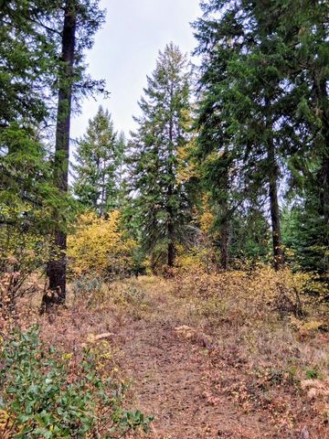 706 mccammon Rd, Elk, WA 99009