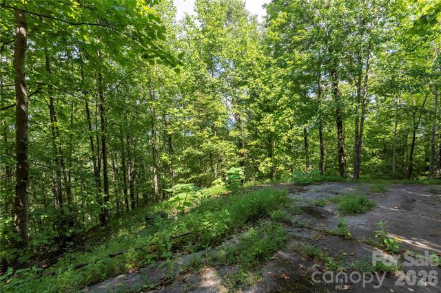 0 High Pines Loop 139, Lake Lure, NC 28746