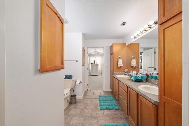 3073 RIVERDALE ROAD, The Villages, FL 32162