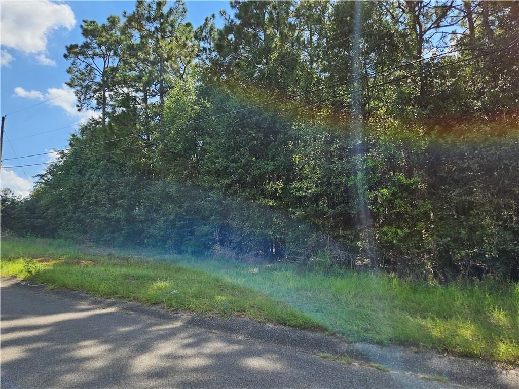 0 Richard Lane, Eight Mile, AL 36613 — photo 3