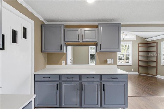 171 STANLEY BELL DRIVE, Mount Dora, FL 32757