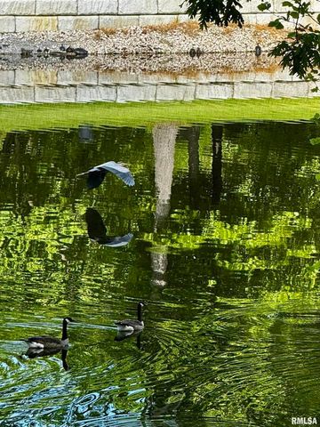 15316 LAKEPOINT Drive, Benton, IL 62812