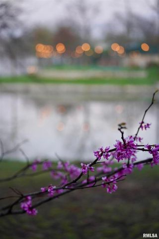 15316 LAKEPOINT Drive, Benton, IL 62812