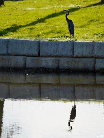 15316 LAKEPOINT Drive, Benton, IL 62812