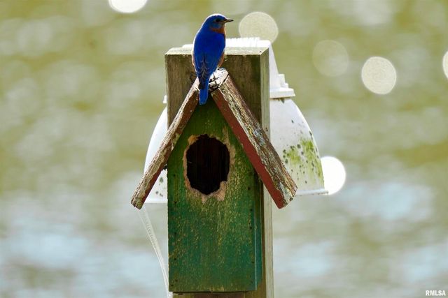 15316 LAKEPOINT Drive, Benton, IL 62812