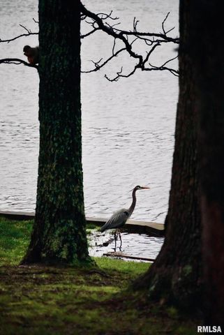 15316 LAKEPOINT Drive, Benton, IL 62812