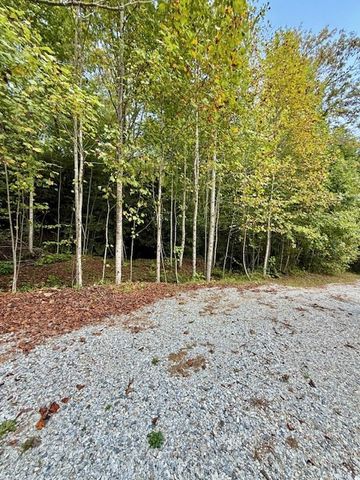 1351 Cody Branch, Robbinsville, NC 28771
