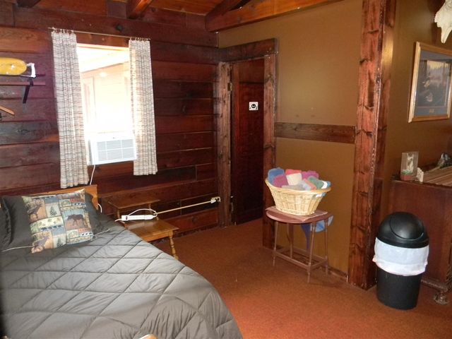 1306 N Tippy Dam Road, Wellston, MI 49689