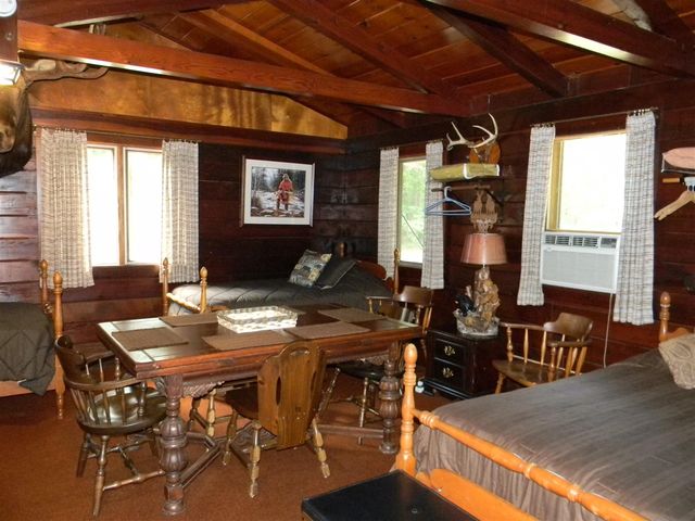 1306 N Tippy Dam Road, Wellston, MI 49689