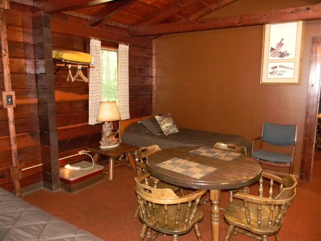 1306 N Tippy Dam Road, Wellston, MI 49689