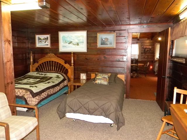 1306 N Tippy Dam Road, Wellston, MI 49689