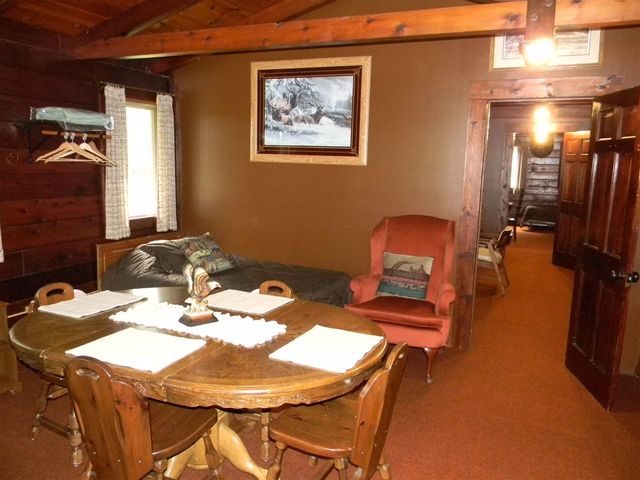 1306 N Tippy Dam Road, Wellston, MI 49689