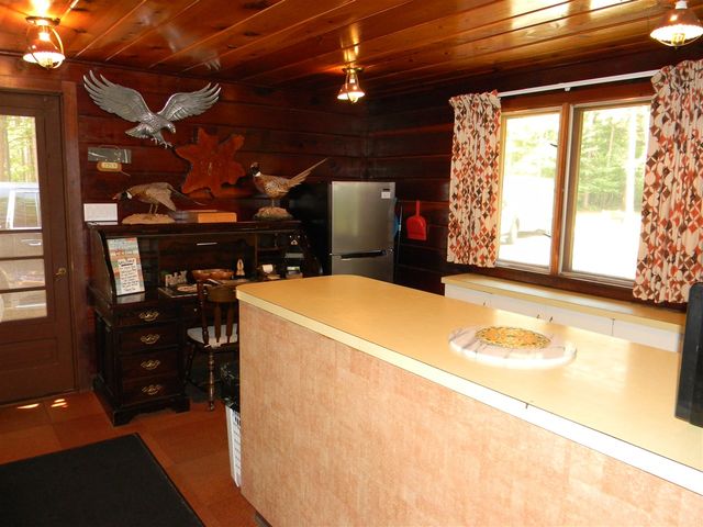 1306 N Tippy Dam Road, Wellston, MI 49689