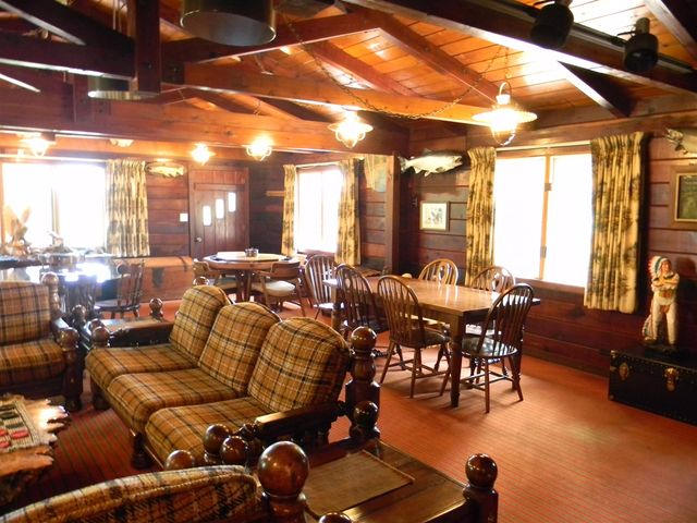 1306 N Tippy Dam Road, Wellston, MI 49689