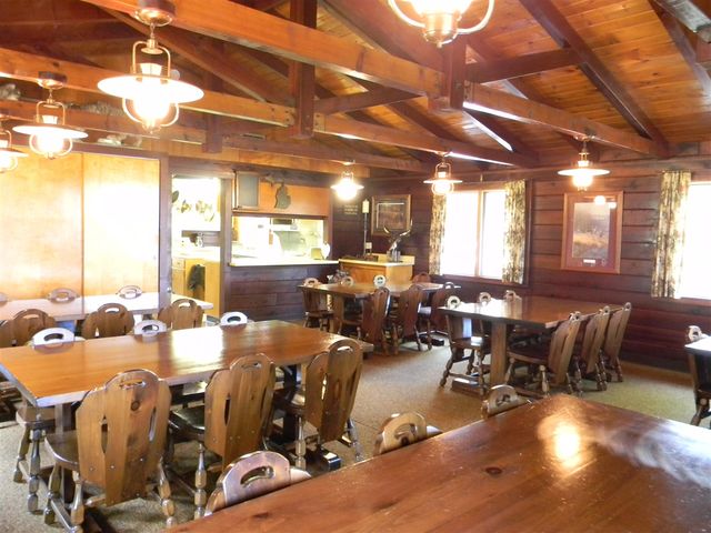 1306 N Tippy Dam Road, Wellston, MI 49689