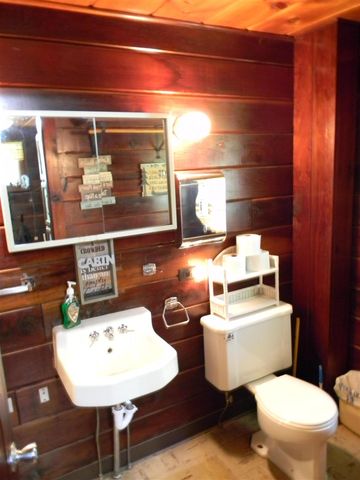 1306 N Tippy Dam Road, Wellston, MI 49689