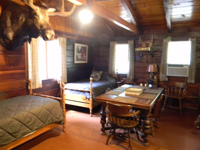 1306 N Tippy Dam Road, Wellston, MI 49689