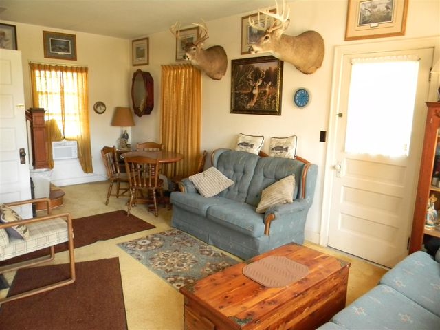 1306 N Tippy Dam Road, Wellston, MI 49689