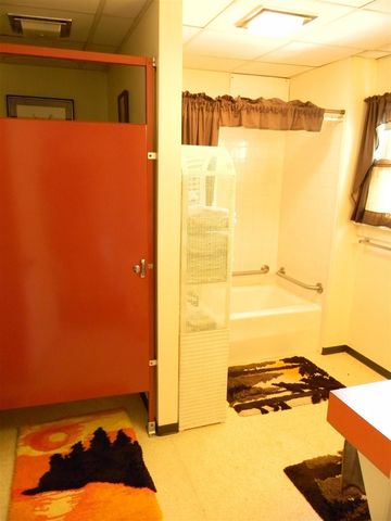 1306 N Tippy Dam Road, Wellston, MI 49689