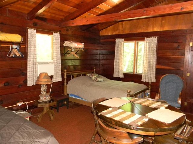 1306 N Tippy Dam Road, Wellston, MI 49689