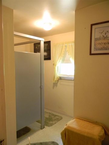 1306 N Tippy Dam Road, Wellston, MI 49689