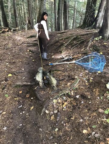 1306 N Tippy Dam Road, Wellston, MI 49689