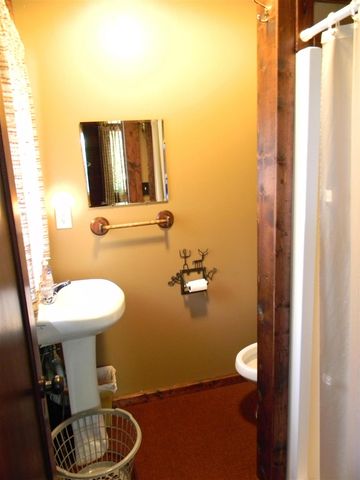 1306 N Tippy Dam Road, Wellston, MI 49689